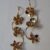 Tasmanian wildflower earrings